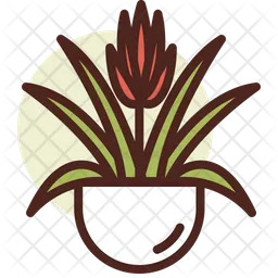 Bromeliad  Icon