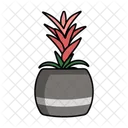 Bromelie Bromelia Dahlia Icon