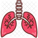 Bronchi Respiration Trachea Icon
