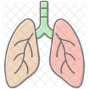 Bronchi Lineal Color Icon Icon