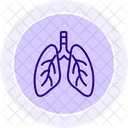 Bronchi  Icon