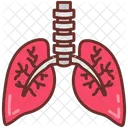 Bronchi  Icon