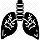 Bronchi  Icon