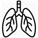 Bronchi  Icon