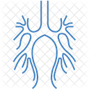 Bronchien Korper Korperteil Symbol