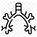 Bronchus Bronchi Respiration Icon