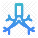Bronkiolus  Icon