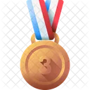 Bronze medal-  Icon
