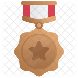 Bronze Medal  Icon