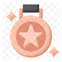 Bronze Medal  Icon