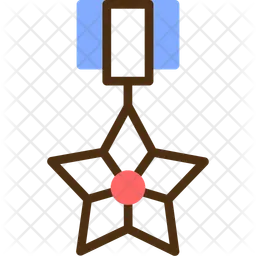 Bronze Star  Icon