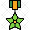 Bronze Star Military Award Meritorious Service Medal Icono