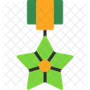 Bronze Star Military Award Meritorious Service Medal Icono