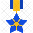 Bronze Star Military Award Meritorious Service Medal Icono
