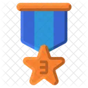 Bronze Star Medal  Icône