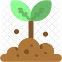 Brotar Naturaleza Arbol Icon