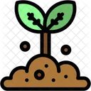Brotar Naturaleza Arbol Icono
