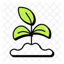 Broto De Folha Folha Ecologia Ícone