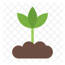 Broto Ecologico Natureza Planta Ícone