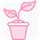 Brotar Em Vaso Brotar Vaso Ícone