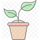 Brotar Em Vaso Brotar Vaso Ícone