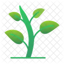 Broto Verde Jardinagem Verde Ícone