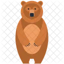 Brown Bear Animal Wildlife Icon