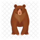 Wild Bear Grizzly Icon