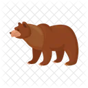 갈색 곰  아이콘