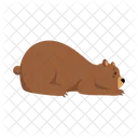 Bear Grizzly Cartoon Icon