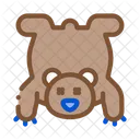 Bear Skin Hunting Icon