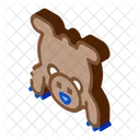 Brown Bear  Icon