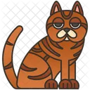 Brown Cat  Symbol