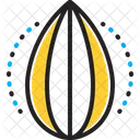 Brown Almond Nut Icon