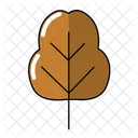 Brown Leaf  Icon