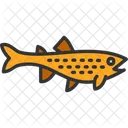Brown Trout Fish Fishes Icon