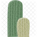 Browningia Cactus Succulent Icon