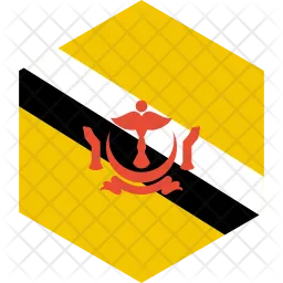 Brunei darussalam Flag Icon