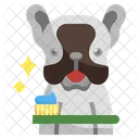 Brush Dog Teeth Dog Teeth Animal Kingdom Icon