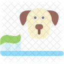 Brush Teeth  Icon
