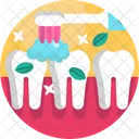 치아관리 칫솔 치아 아이콘
