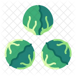 Brussel sprout  Icon