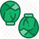 Brussel sprout  Icon