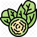 Brussel Sprouts Brussel Sprouts Icon