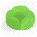 Brussels Plant Decorated Icon
