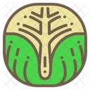 Brussels sprout  Icon