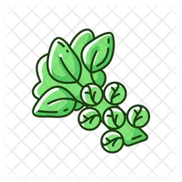 Brussels sprouts  Icon