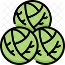 Brussels Sprout Vegetable Fiber Icon