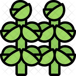 Brussels Sprouts  Icon
