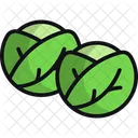 Brussels sprouts  Icon